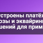 Как устроены платёжные шлюзы и эквайринг, 48 решений для примера